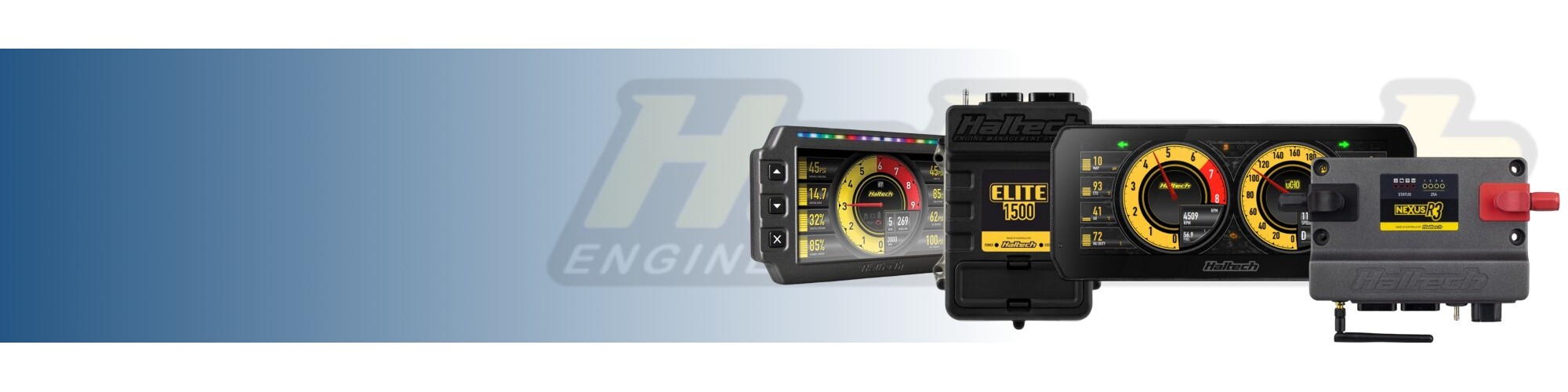 Haltech Engine Management