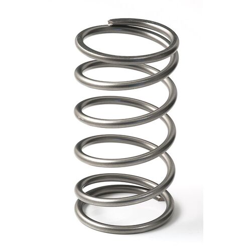 GFB 7113 EX50 13 PSI Outer Spring